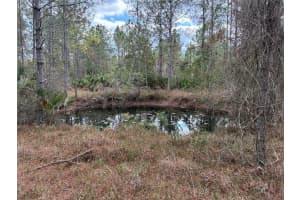 0 BOISE LANE, ORMOND BEACH, FL 32174 - MLS#MFRFC314748