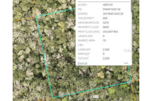 000 REED GROVE ROAD, OAK HILL, FL 32759 - MLS#MFRFC314804