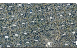 000 REED GROVE ROAD, OAK HILL, FL 32759 - MLS#MFRFC314804