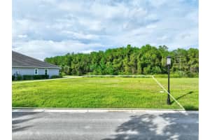 102 MARSH ELDER SQUARE, PALM COAST, FL 32137 - MLS#MFRFC315064