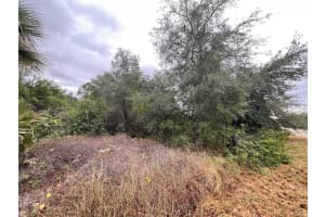 1608 SCOTT AVENUE, LEHIGH ACRES, FL 33972 - MLS#MFRFC315214