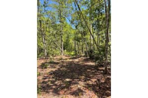 3781 PINE PITCH COURT, ORMOND BEACH, FL 32174 - MLS#MFRFC315217