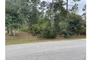 16 RIVERDALE LANE, PALM COAST, FL 32164 - MLS#MFRFC315230