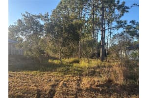 3 LANSING LANE, PALM COAST, FL 32137 - MLS#MFRFC315309