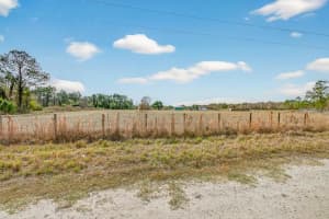 16815 95TH AVENUE, WALDO, FL 32694 - MLS#MFRFC315365