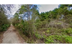 31217 LORINE STREET, DELAND, FL 32720 - MLS#MFRFC315466