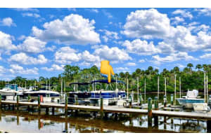 100 CANOPY WALK LANE, PALM COAST, FL 32137 - MLS#MFRFC315611