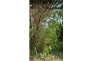 12 SELMA TRAIL, PALM COAST, FL 32164 - MLS#MFRFC315638