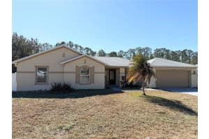 45 Reidsville Dr, PALM COAST