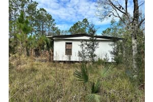 1516 AVOCADO BOULEVARD, BUNNELL, FL 32110 - MLS#MFRFC315907