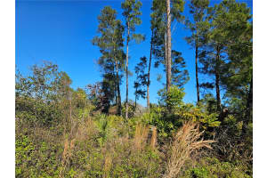 7 WOOD ARBOR LANE, PALM COAST, FL 32164 - MLS#MFRFC316067