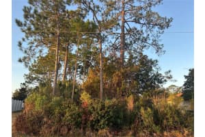 4 WHITE HALL DRIVE, PALM COAST, FL 32137 - MLS#MFRFC316239