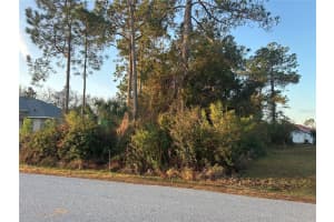 4 WHITE HALL DRIVE, PALM COAST, FL 32137 - MLS#MFRFC316239