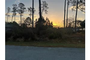 9 PEYY PLACE, PALM COAST, FL 32164 - MLS#MFRFC316240