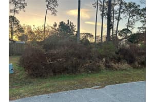 9 PEYY PLACE, PALM COAST, FL 32164 - MLS#MFRFC316240