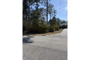 34 PIER LANE, PALM COAST, FL 32164 - MLS#MFRFC316248