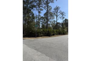 34 PIER LANE, PALM COAST, FL 32164 - MLS#MFRFC316248