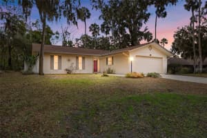 41 Blakeport Ln, PALM COAST