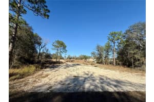 47 BAHIA COURT TRACK, OCALA, FL 34472 - MLS#MFRFC316360