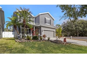 12507 Bay Branch Ct, TAMPA 12507 Bay Branch Ct, TAMPA