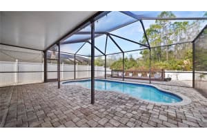 12507 BAY BRANCH COURT, TAMPA, FL 33635 - MLS#MFRFC316383