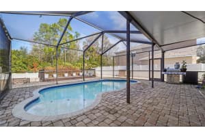 12507 BAY BRANCH COURT, TAMPA, FL 33635 - MLS#MFRFC316383