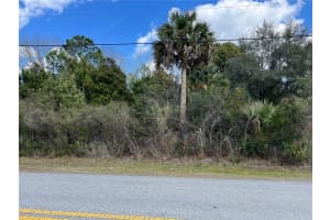 164 BIRD OF PARADISE DRIVE, PALM COAST, FL 32137 - MLS#MFRFC316390