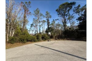 3 KALMAR PLACE, PALM COAST, FL 32164 - MLS#MFRFC316392