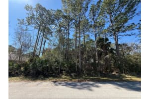 28 PHOENIX LANE, PALM COAST, FL 32164 - MLS#MFRFC316417