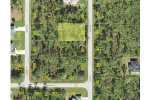1447 BLAISDELL STREET, PORT CHARLOTTE, FL 33980 - MLS#MFRFC316435