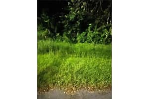 814 MASSY COURT, KISSIMMEE, FL 34759 - MLS#MFRFC316441