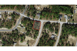 2551 SHEILA DRIVE, CITRUS SPRINGS, FL 34433 - MLS#MFRFC316522