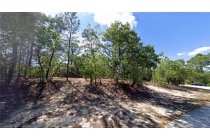 2551 SHEILA DRIVE, CITRUS SPRINGS, FL 34433 - MLS#MFRFC316522