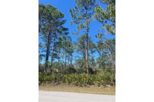36 SEAGOING TRAIL, PALM COAST, FL 32164 - MLS#MFRFC316561
