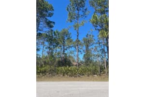 36 SEAGOING TRAIL, PALM COAST, FL 32164 - MLS#MFRFC316561