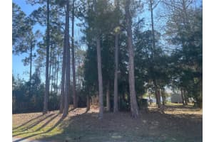 60 BIRCHWOOD DRIVE, PALM COAST, FL 32137 - MLS#MFRFC316563