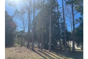 60 BIRCHWOOD DRIVE, PALM COAST, FL 32137 - MLS#MFRFC316563