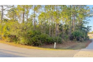 102 RANDOLPH DRIVE, PALM COAST, FL 32164 - MLS#MFRFC316648