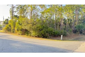 102 RANDOLPH DRIVE, PALM COAST, FL 32164 - MLS#MFRFC316648