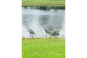 7 REYBELL LN, PALM COAST, FL 32164 - MLS#MFRFC316747