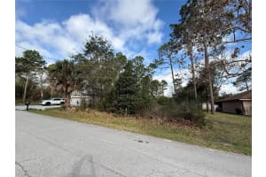91 FERNDALE LN, PALM COAST, FL 32137 - MLS#MFRFC316836