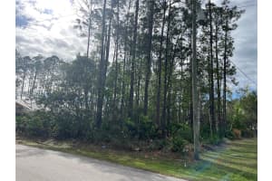 14 REYBURY LANE, PALM COAST, FL 32164 - MLS#MFRFC316918