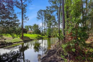 40 BRUSHWOOD LANE, PALM COAST, FL 32137 - MLS#MFRFC316923