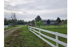 980 STILL ROAD, PIERSON, FL 32180 - MLS#MFRFC316968