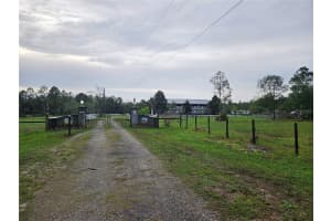 980 STILL ROAD, PIERSON, FL 32180 - MLS#MFRFC316968