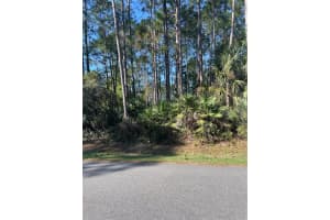 69 LINDSAY DRIVE, PALM COAST, FL 32137 - MLS#MFRFC317116