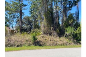 51 BRONSON LN, PALM COAST, FL 32137 - MLS#MFRFC317179