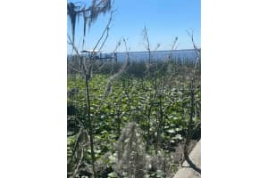 6373 JACK WRIGHT ISLAND ROAD, ST AUGUSTINE, FL 32092 - MLS#MFRFC317211