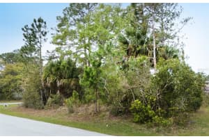 96 PRESIDENTIAL LANE, PALM COAST, FL 32164 - MLS#MFRFC317221