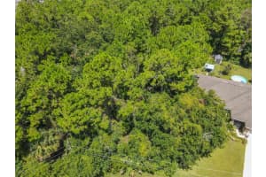 47 FANSHAWE LANE, PALM COAST, FL 32137 - MLS#MFRFC317384